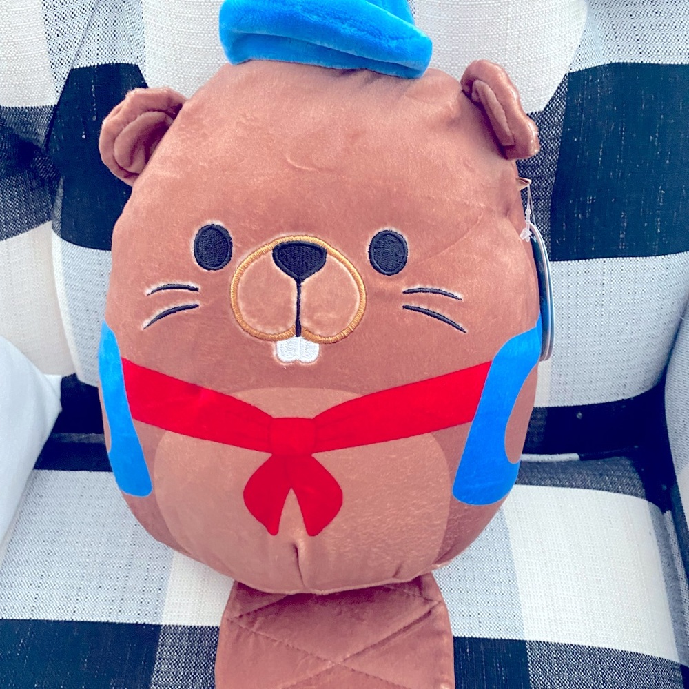 Beaver Squishmallow